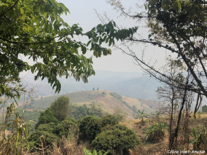 Sur la route dans les montagnes Thaïlande Asie