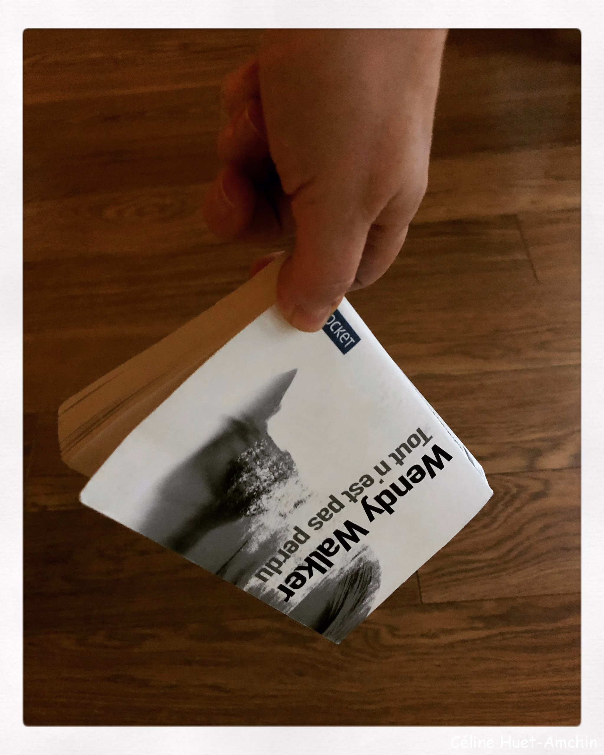 Tout n'est pas perdu Wendy Walker Editions Pocket