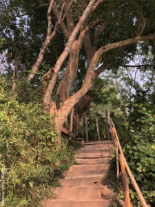 Pha Tad Ke Botanical Garden Laos Asie