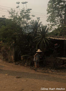 Sur la route Chiang Rai - Chiang Mai Thaïlande Asie