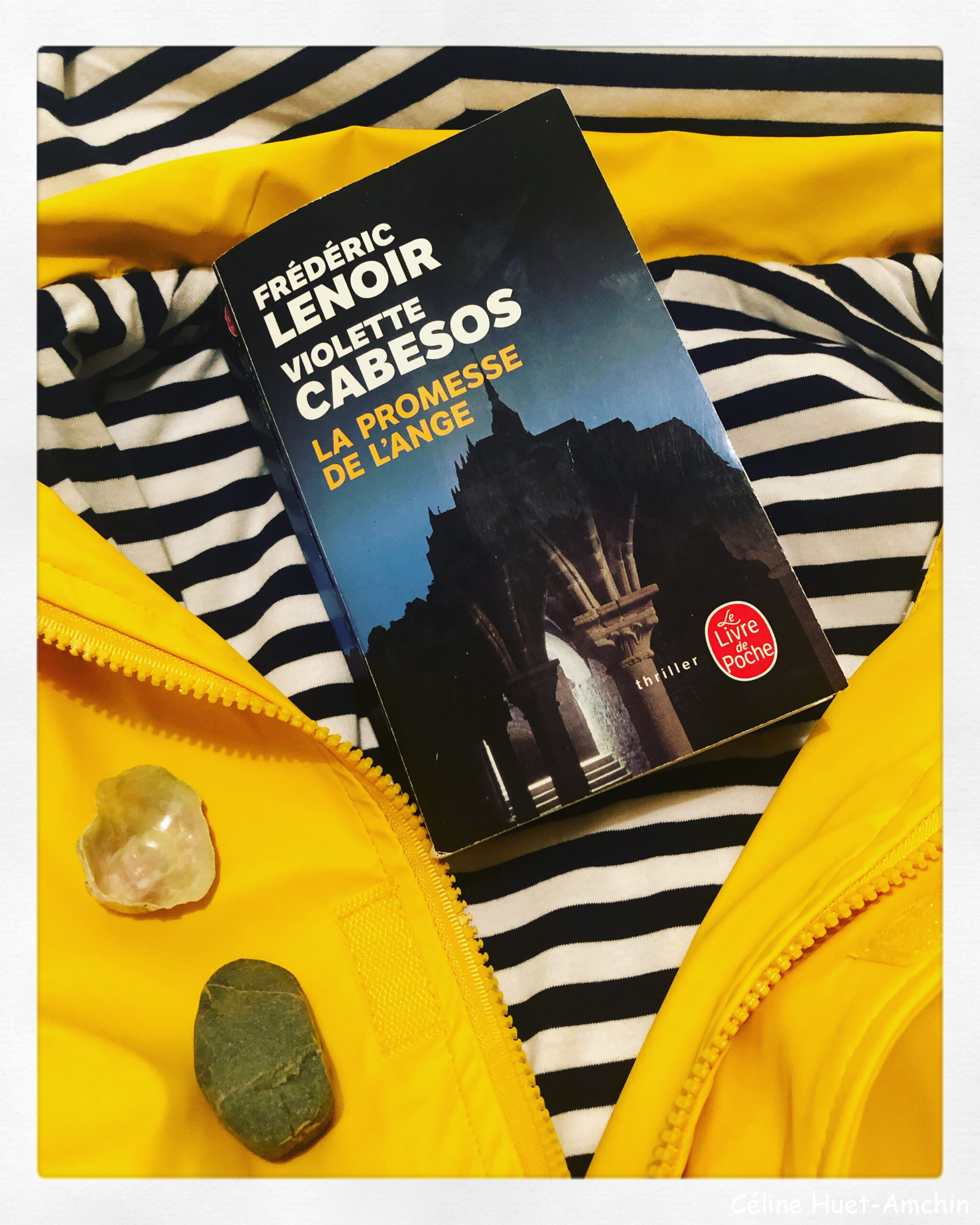 « La promesse de l&rsquo;ange » de Frédéric Lenoir & Violette Cabesos…