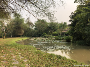 Pha Tad Ke Botanical Garden Laos Asie