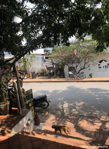 L'Etranger Books & Tea Luang Prabang Laos Asie