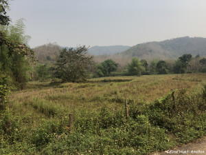 Sur la route entre Kuang Si et Luang Prabang Laos Asie