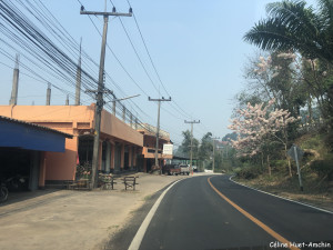 Doi Mae Salong Thaïlande Asie