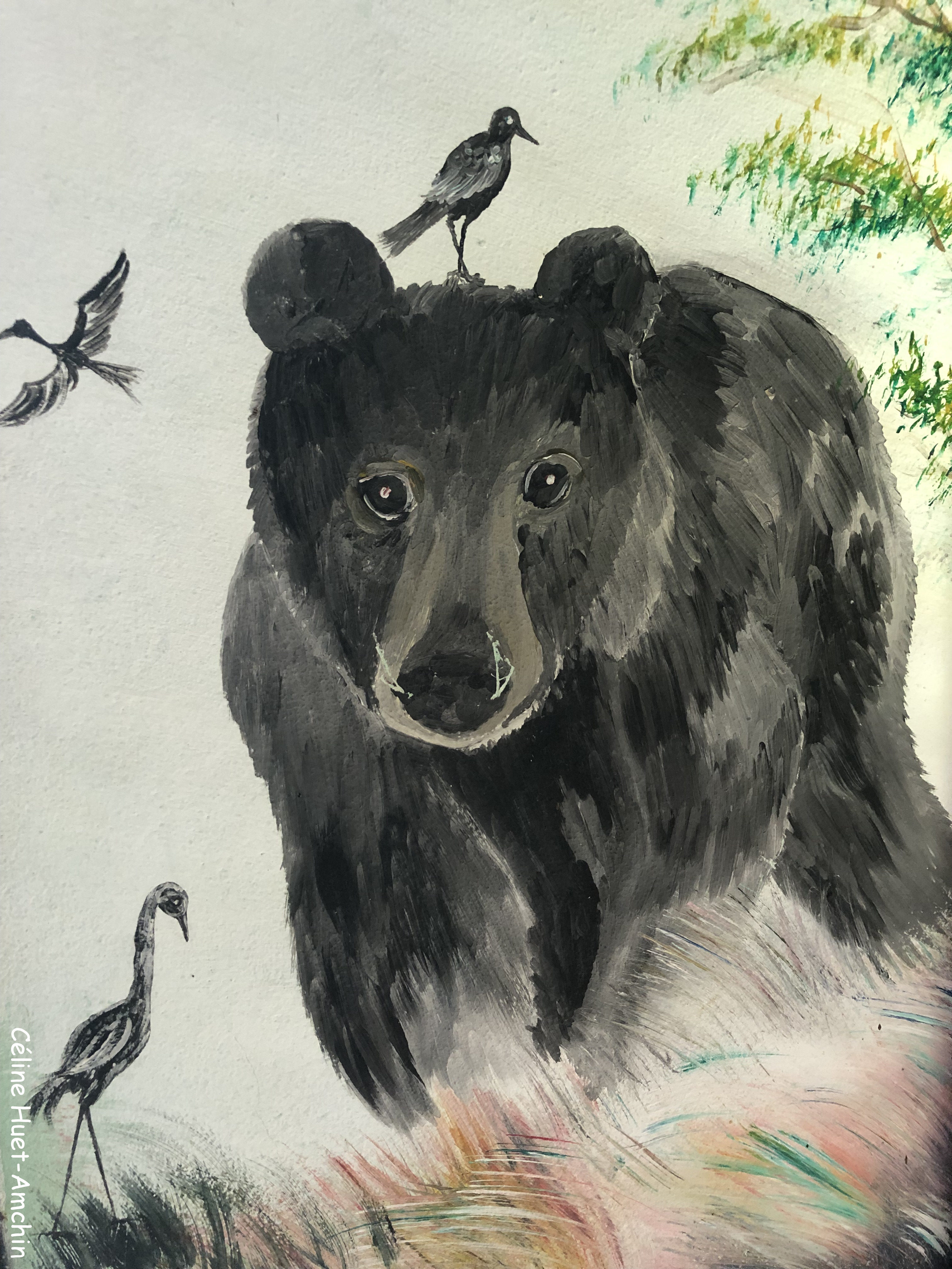 Centre de conservation des ours bruns d'Asie Kuang Si Laos