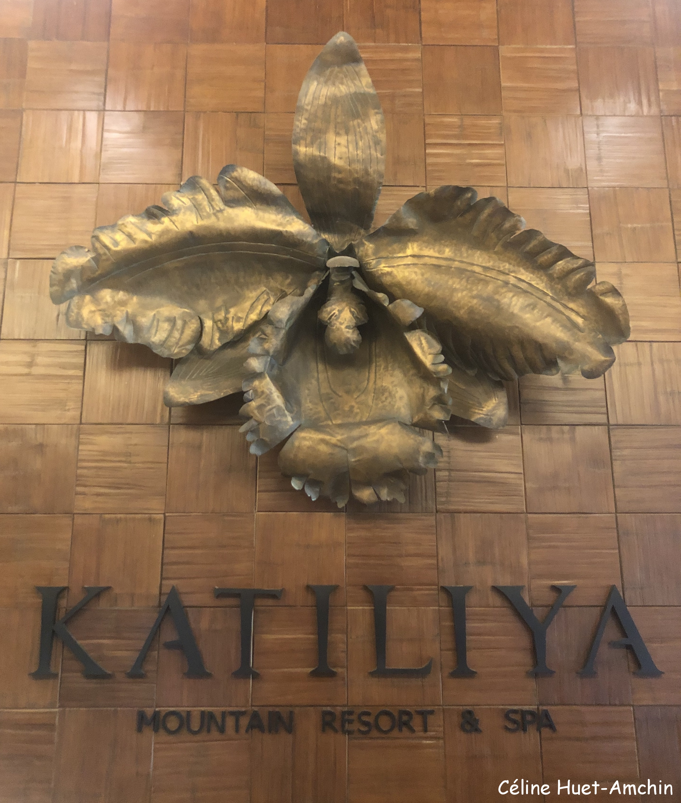 Hôtel Katiliya Mountain Resort & Spa Mae Chan Chiang Rai Thaïlande Asie