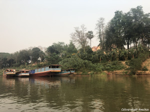 Retour à Luang Prabang depuis Pha Bad Ke en bateau sur le Mékong Laos Asie