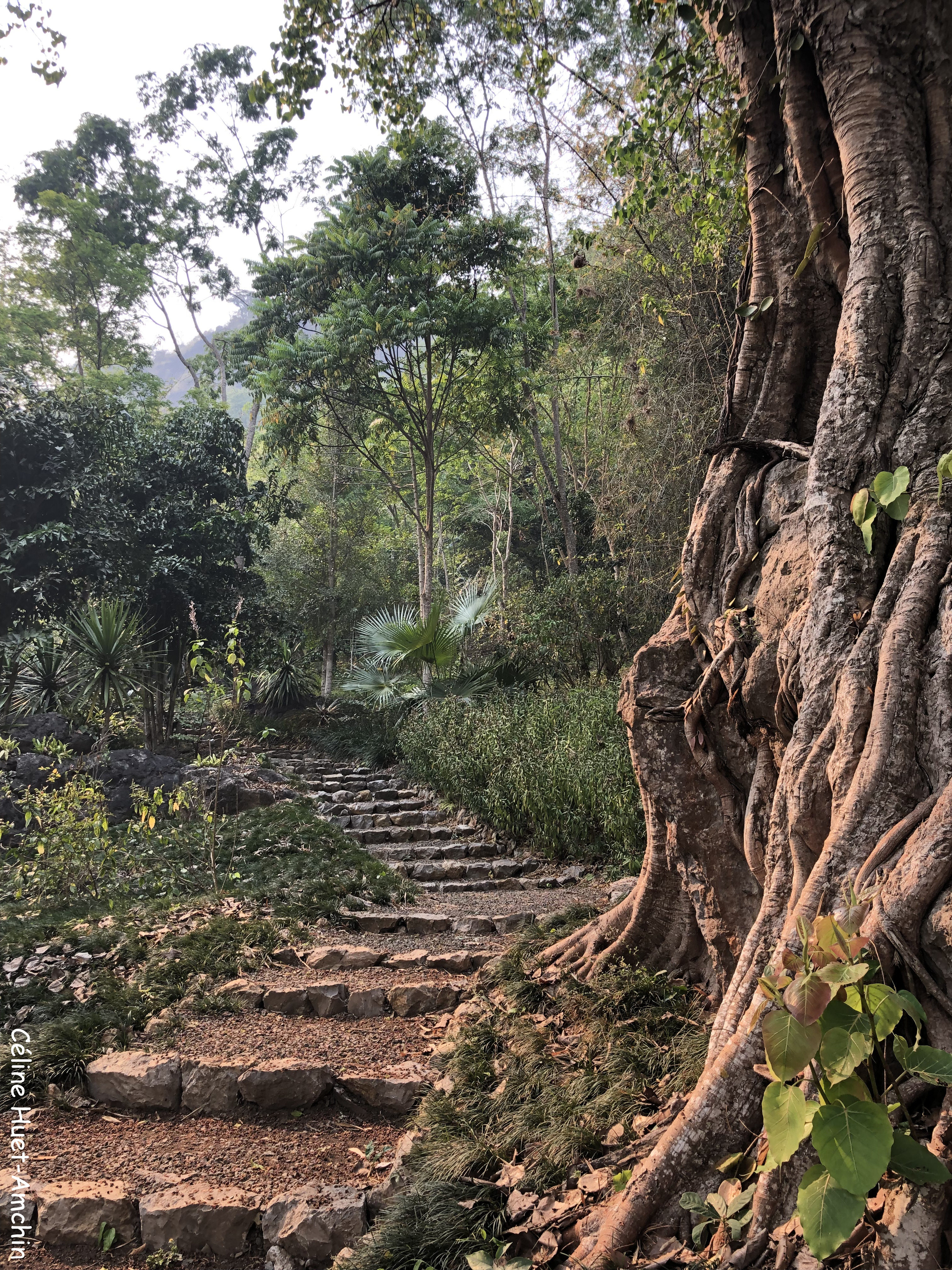 Pha Tad Ke Botanical Garden Laos Asie