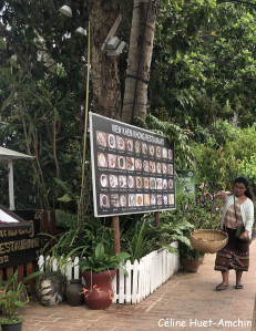 Luang Prabang Laos Asie