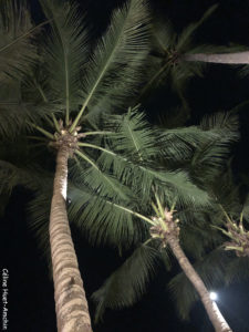 The Belle Rive Boutique Hotel terrace by night Luang Prabang Laos Asie