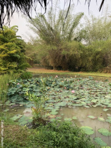 Pha Tad Ke Botanical Garden Laos Asie