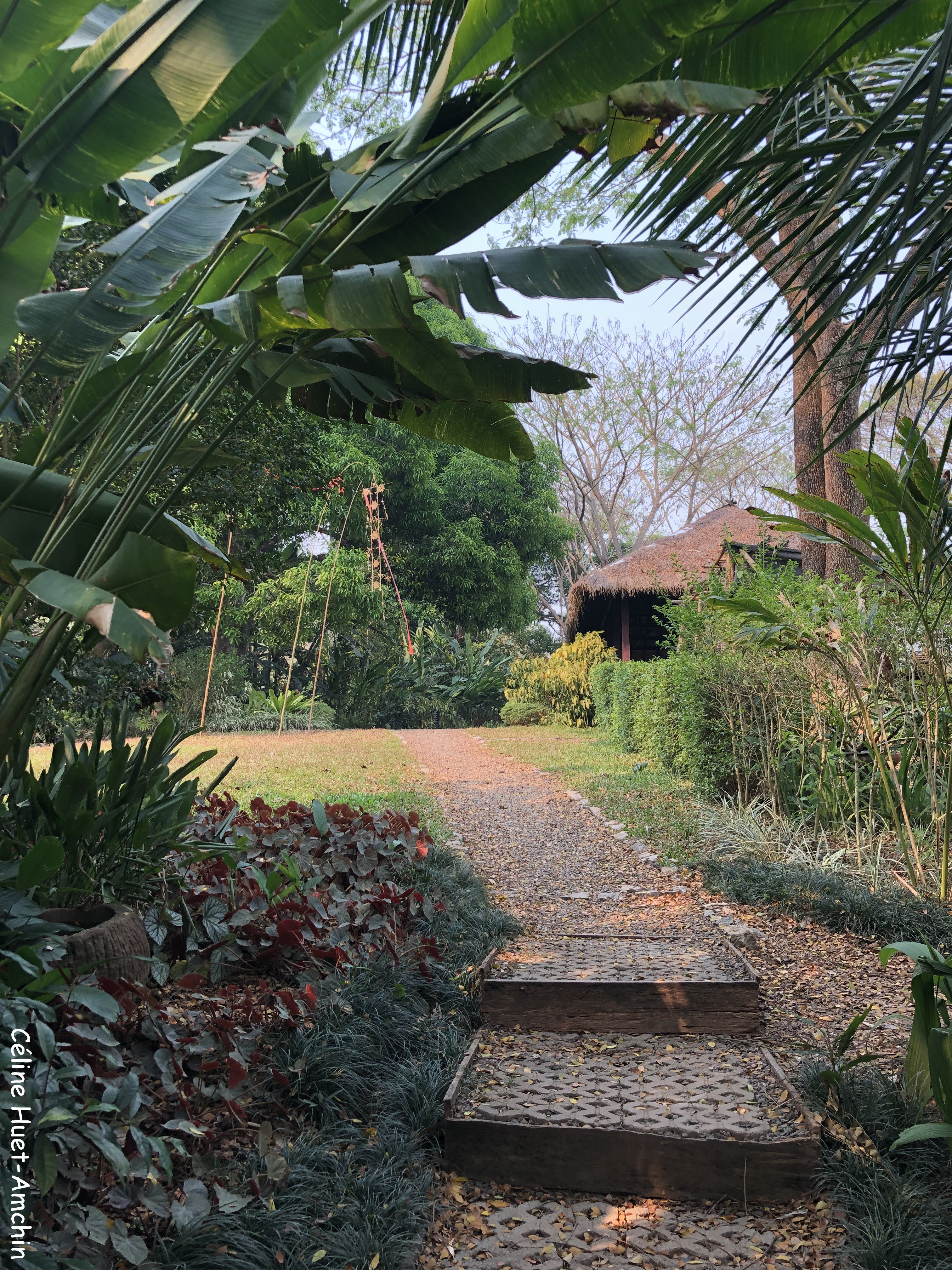 Pha Tad Ke Botanical Garden Laos Asie