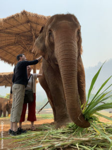 Elephant Nature Park Chiang Mai Thaïlande Asie