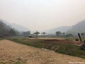 Elephant Nature Park Chiang Mai Thaïlande Asie