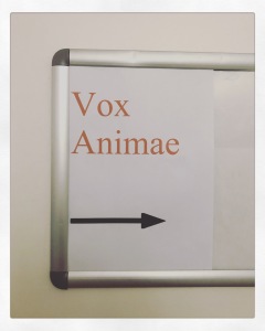 Formation Comportementaliste Félin spécialiste du chat Vox Animae