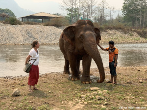 Jokia "ma filleule" et son mahout Elephant Nature Park Chiang Mai Thaïlande Asie