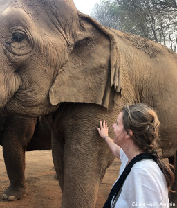 Elephant Nature Park Chiang Mai Thaïlande Asie