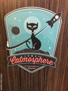 Catmosphère Cat Café Chiang Mai Thaïlande Asie