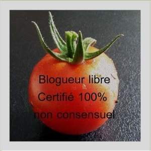 Blogueur libre certifié 100% non consensuel Antigone Héron