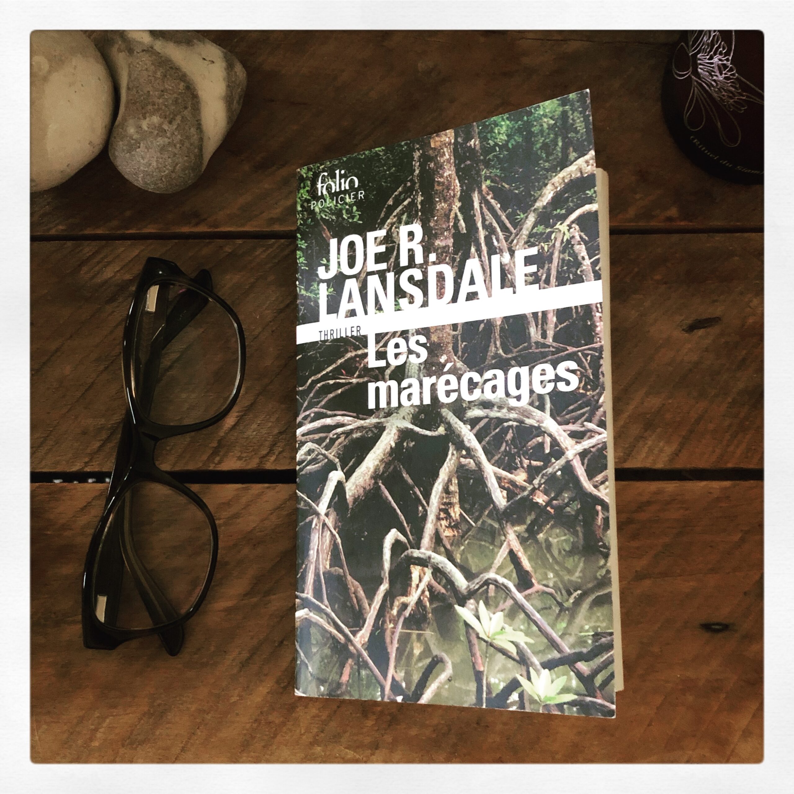 « Les marécages » de Joe R.Lansdale…