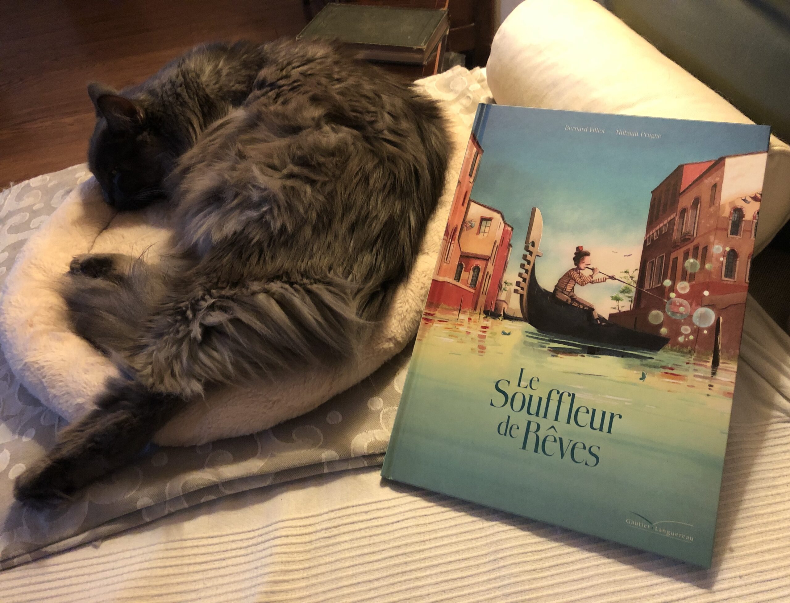 « Le Souffleur de Rêves » de Bernard Villiot et Thibault Prugne…
