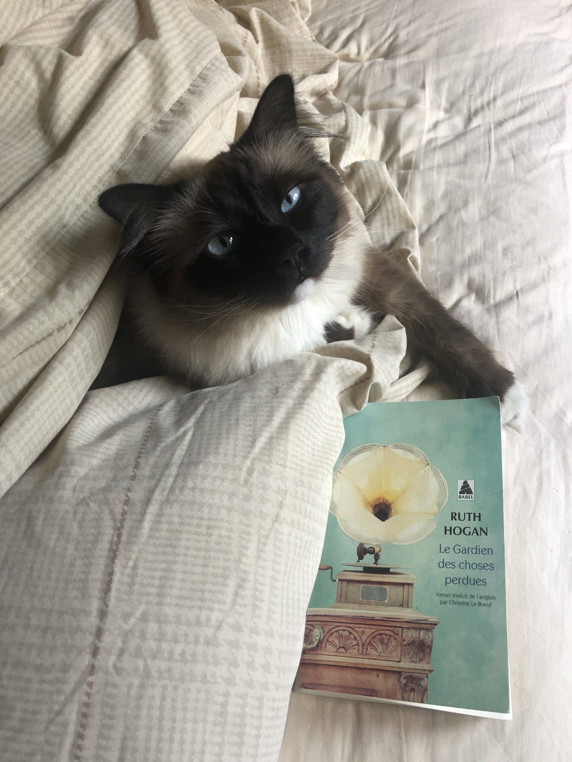 « Le gardien des choses perdues » de Ruth Hogan…