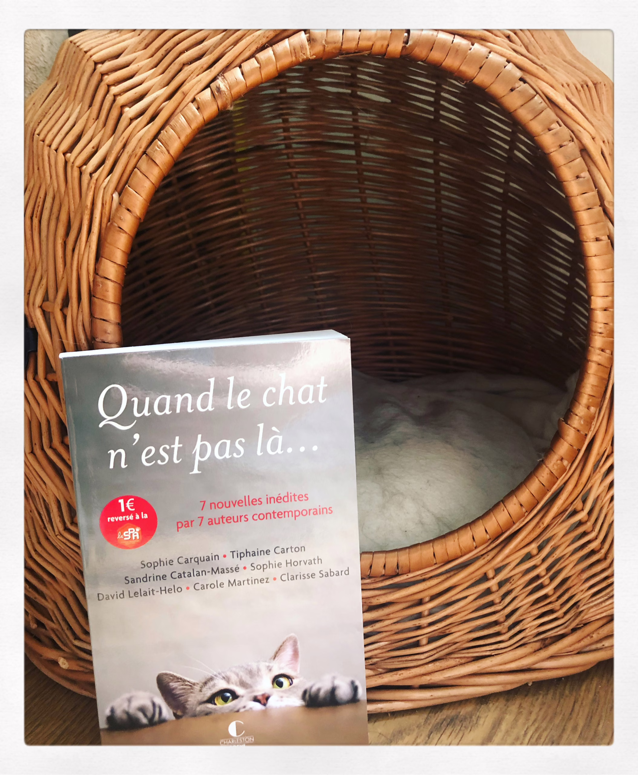 « Quand le chat n’est pas là… »