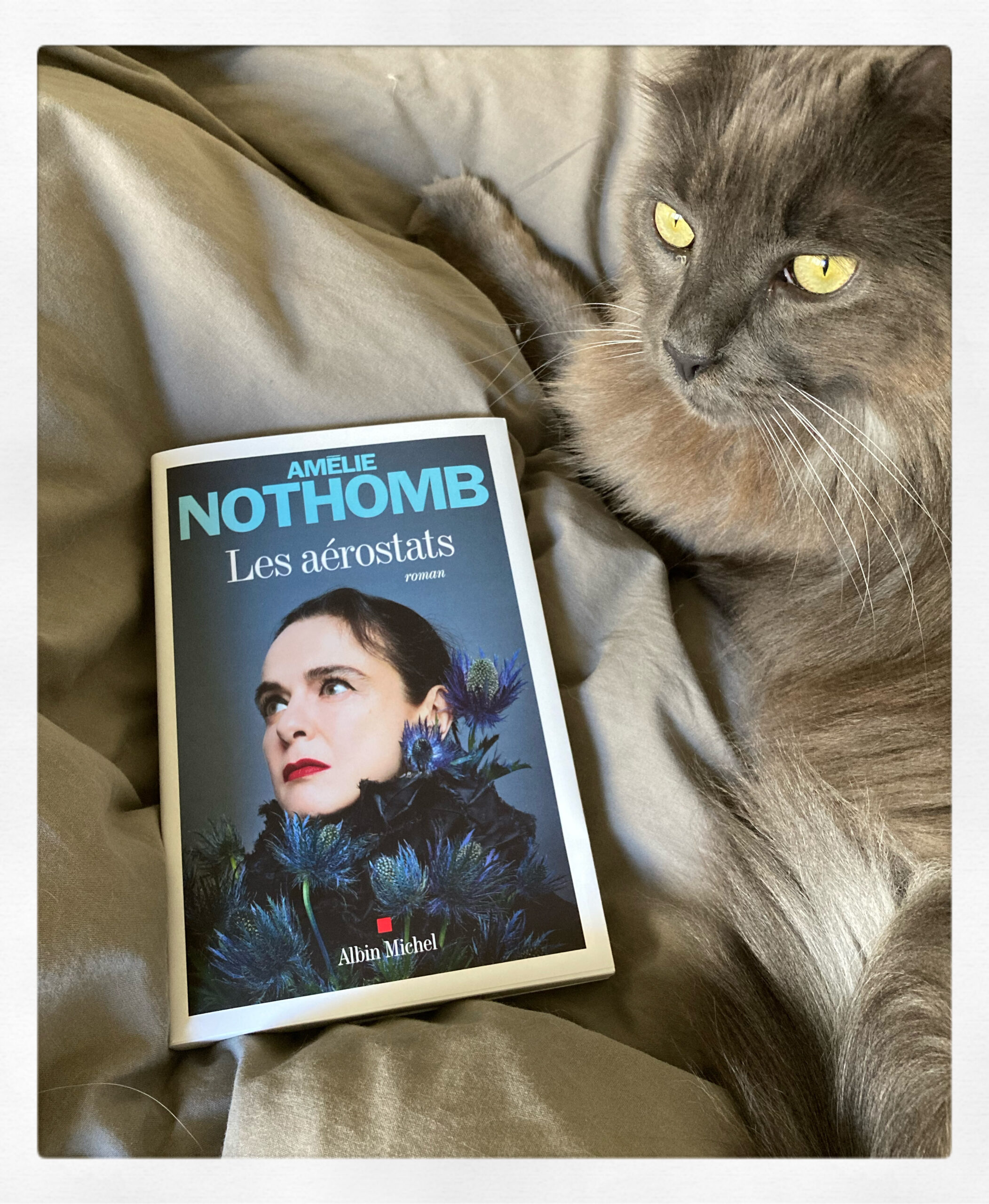 « Les aérostats » d&rsquo;Amélie Nothomb…