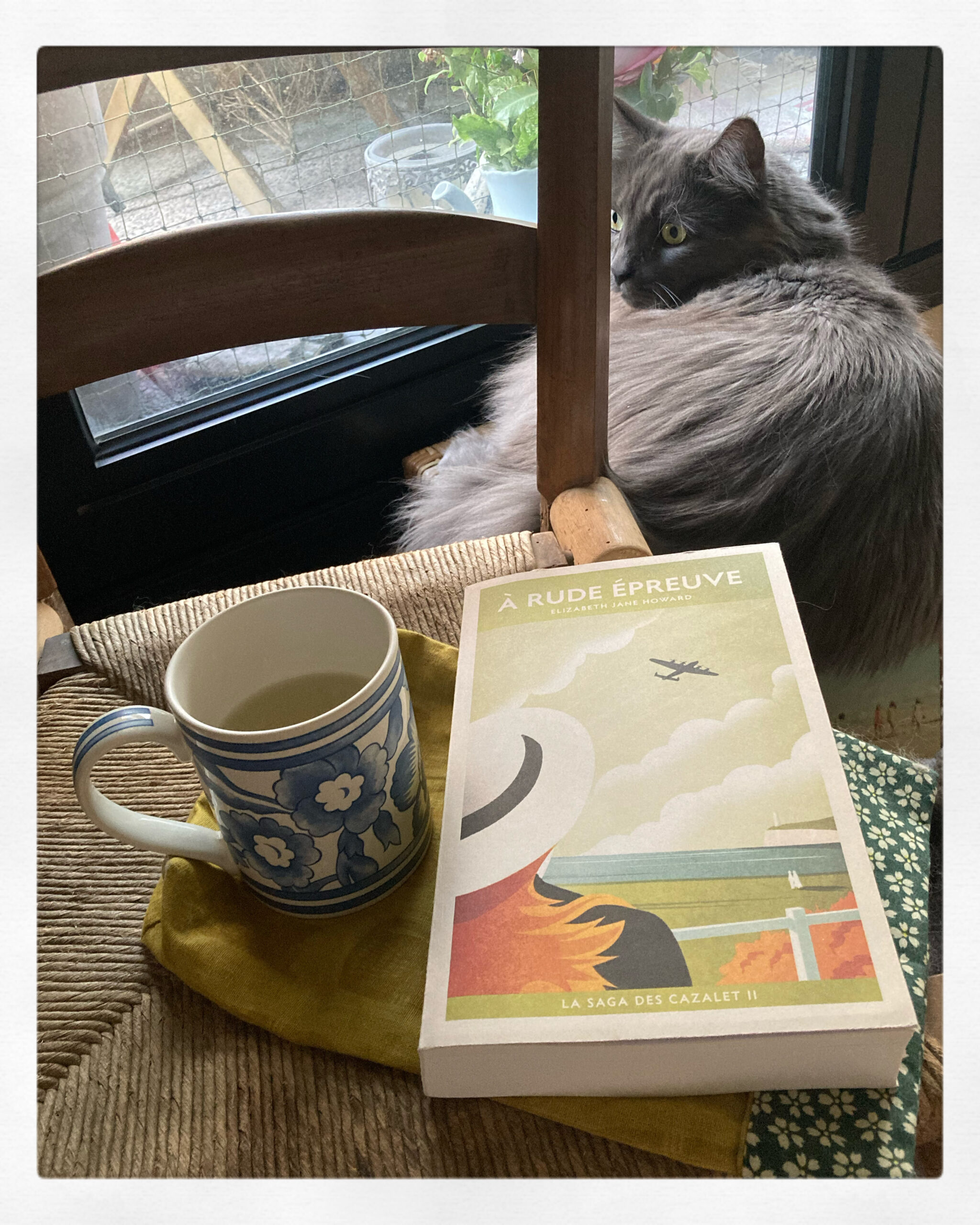 « À rude épreuve » d&rsquo;Elizabeth Jane Howard…