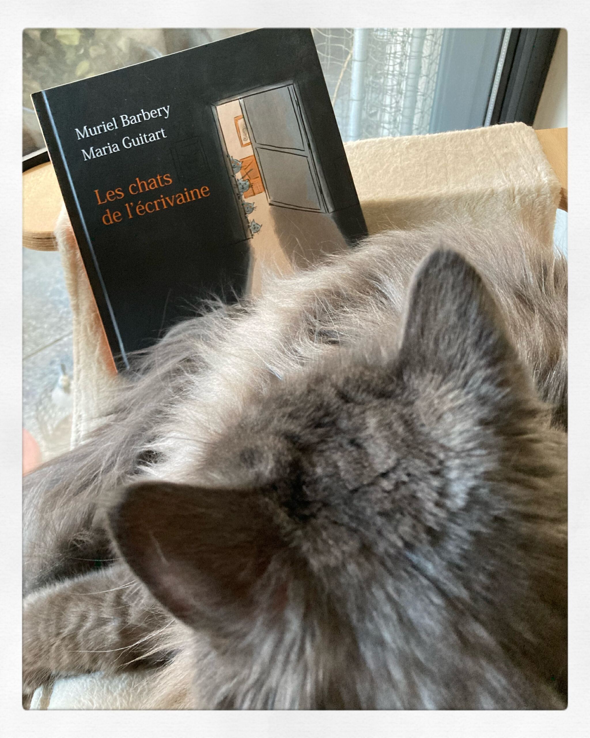 « Les chats de l&rsquo;écrivaine » de Muriel Barbery & Maria Guitart…