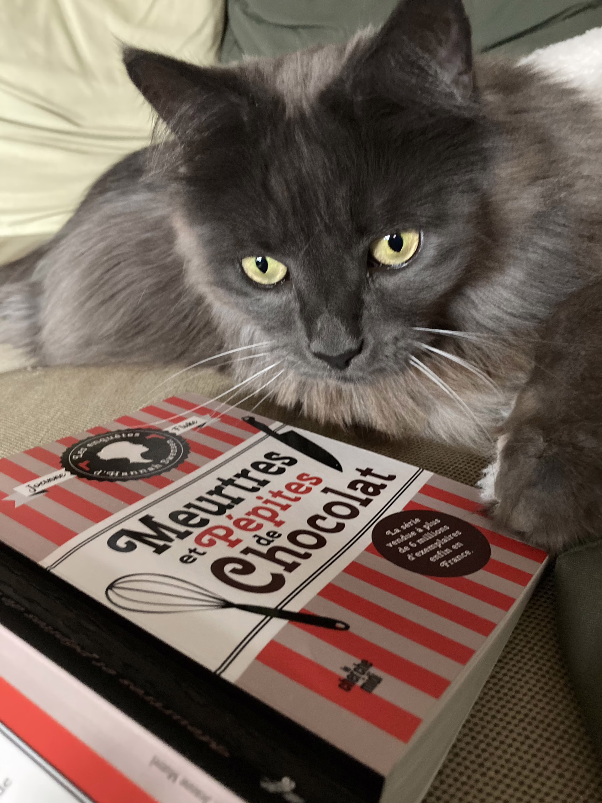 « Meurtres et pépites de chocolat » de Joanne Fluke…