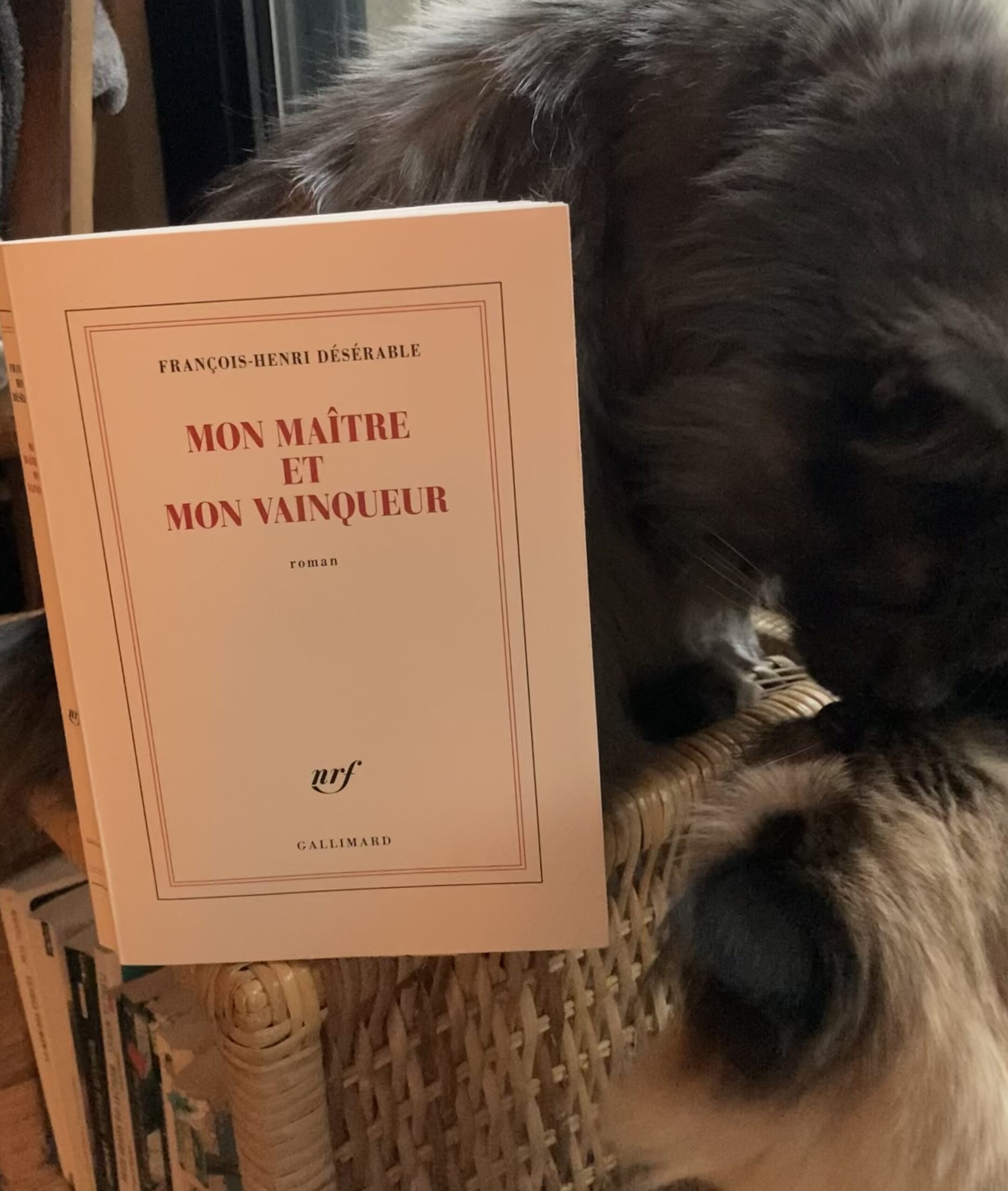 « Mon maître et mon vainqueur » de François-Henri Désérable…