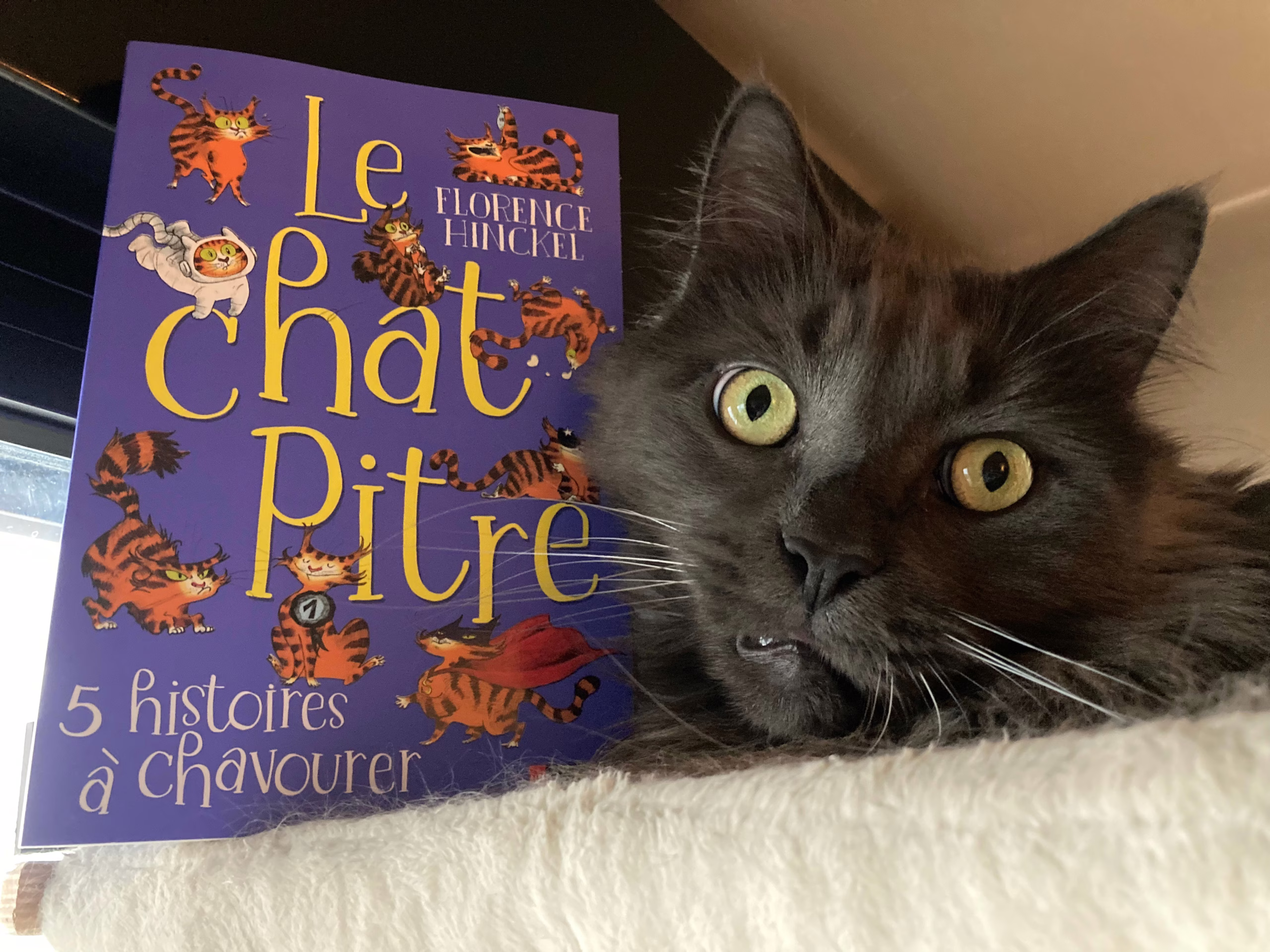 « Le chat Pitre » de Florence Hinckel…
