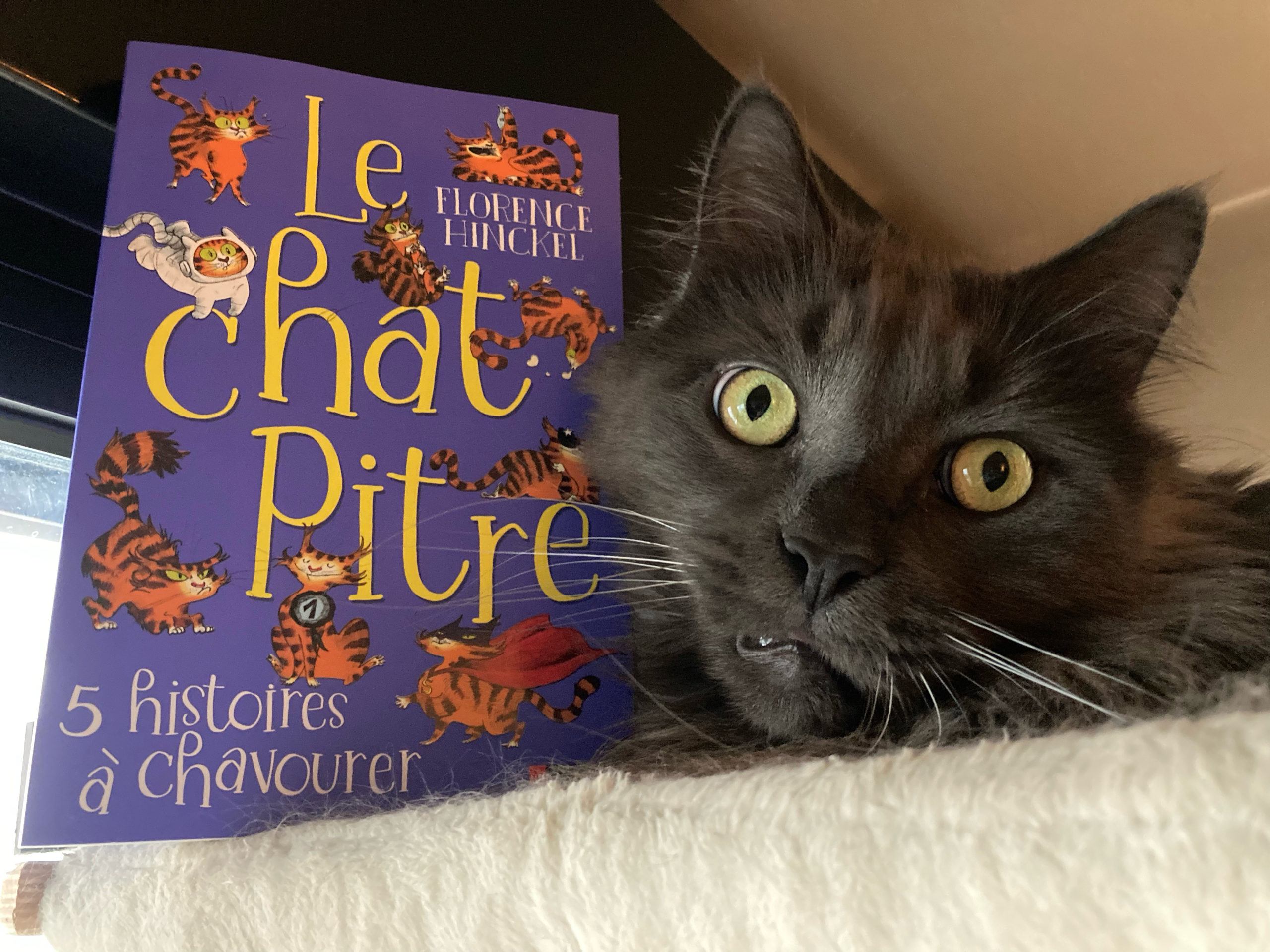 "Le chat Pitre" de Florence Hinckel...