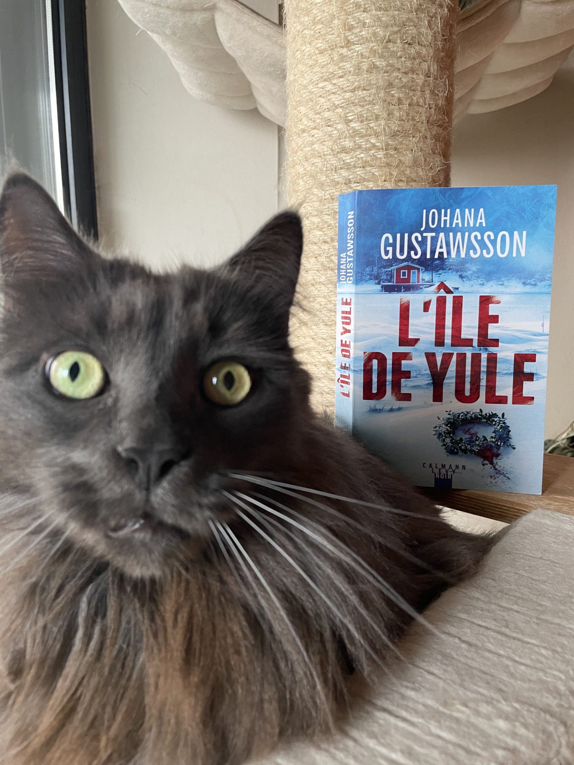 "L'Île de Yule" de Johana Gustawsson...