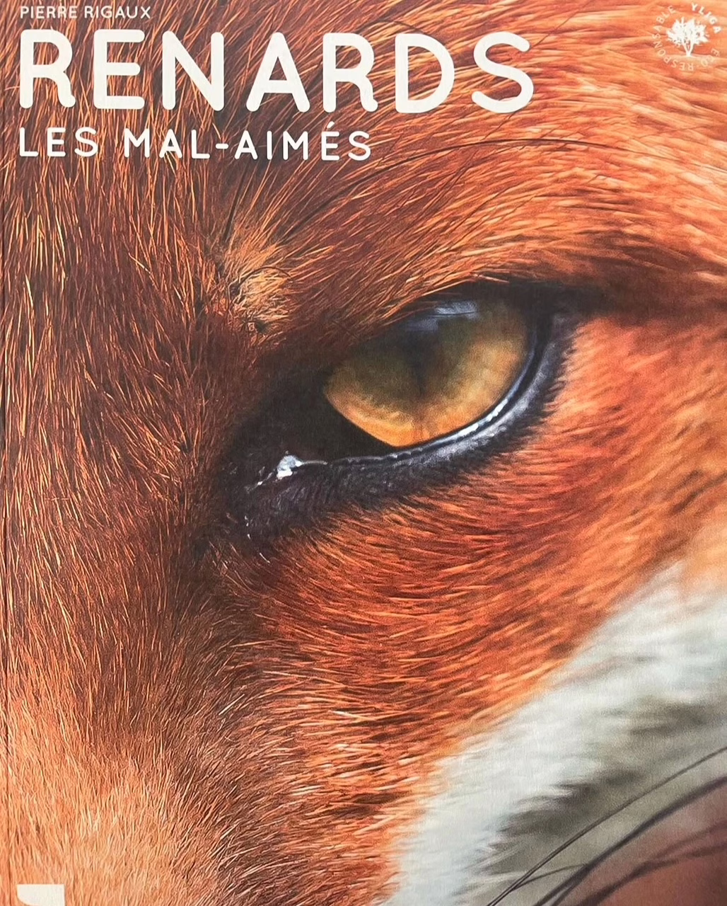 « Renards, les mals aimés » de Pierre Rigaux…