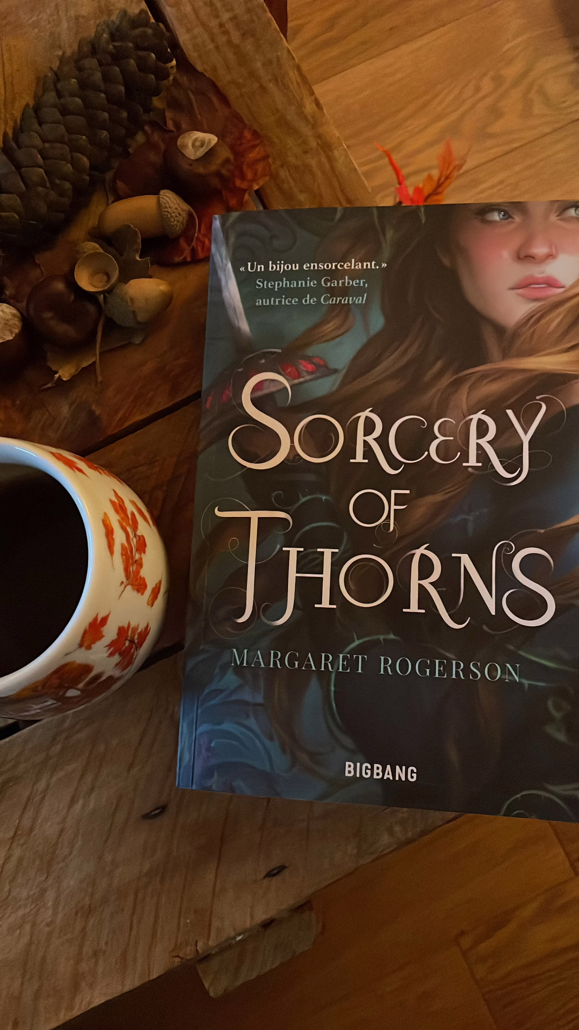 « Sorcery of Thorns » de Margaret Rogerson…
