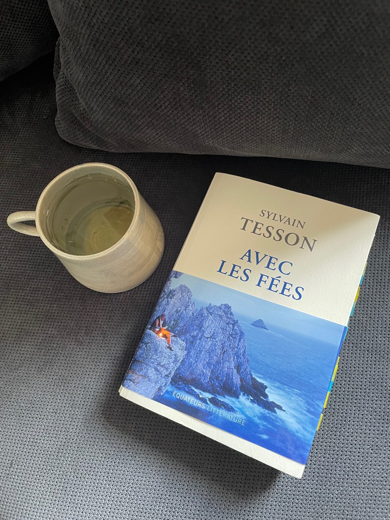 « Avec les fées » de Sylvain Tesson…