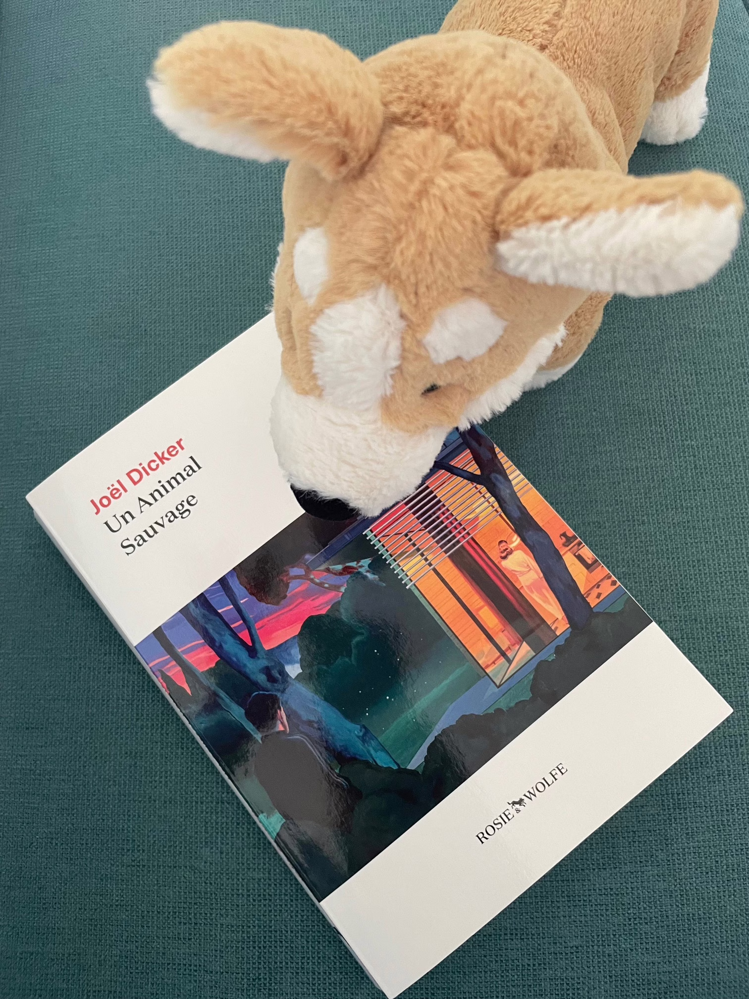 « Un animal sauvage » de Joël Dicker…