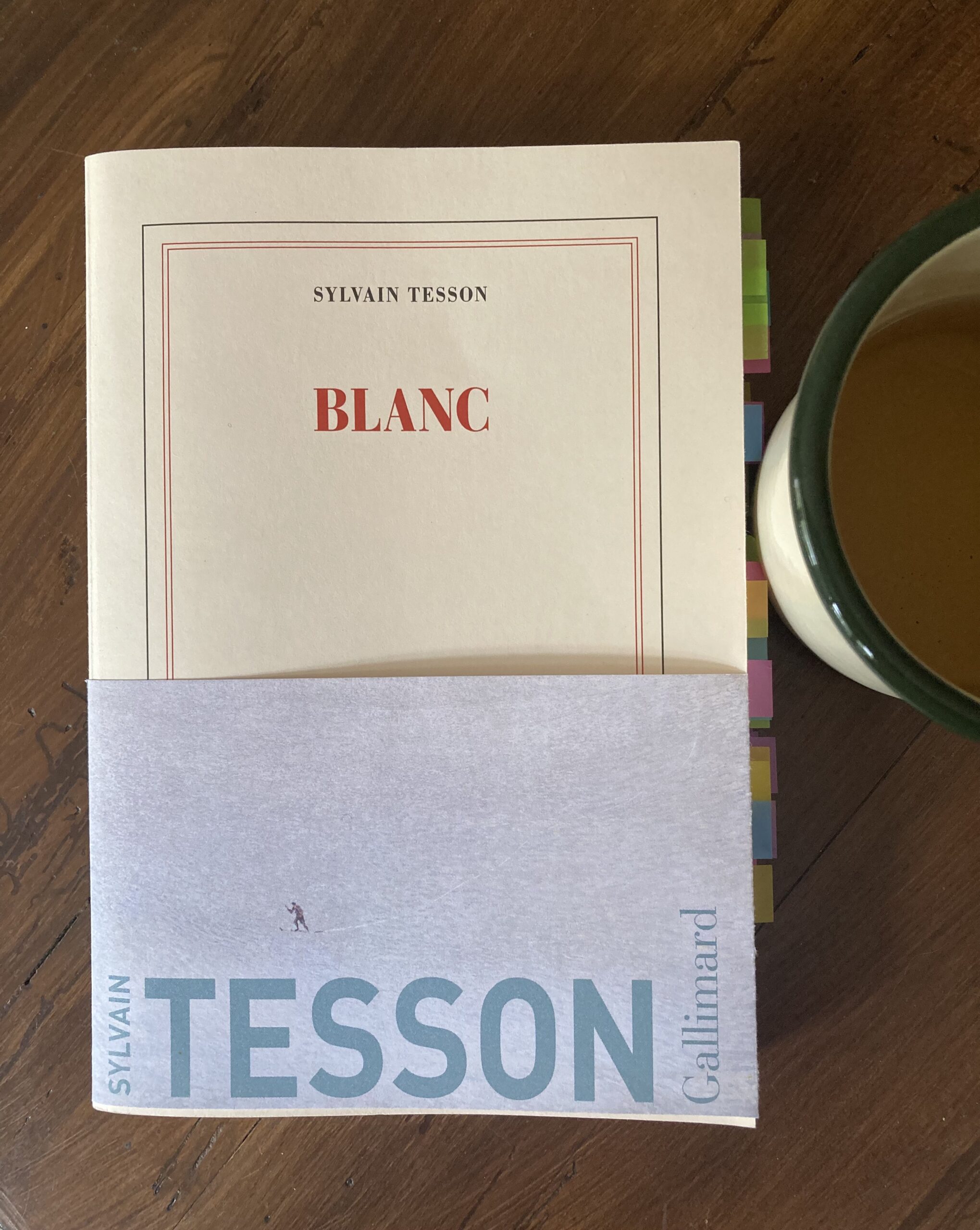 « Blanc » de Sylvain Tesson…