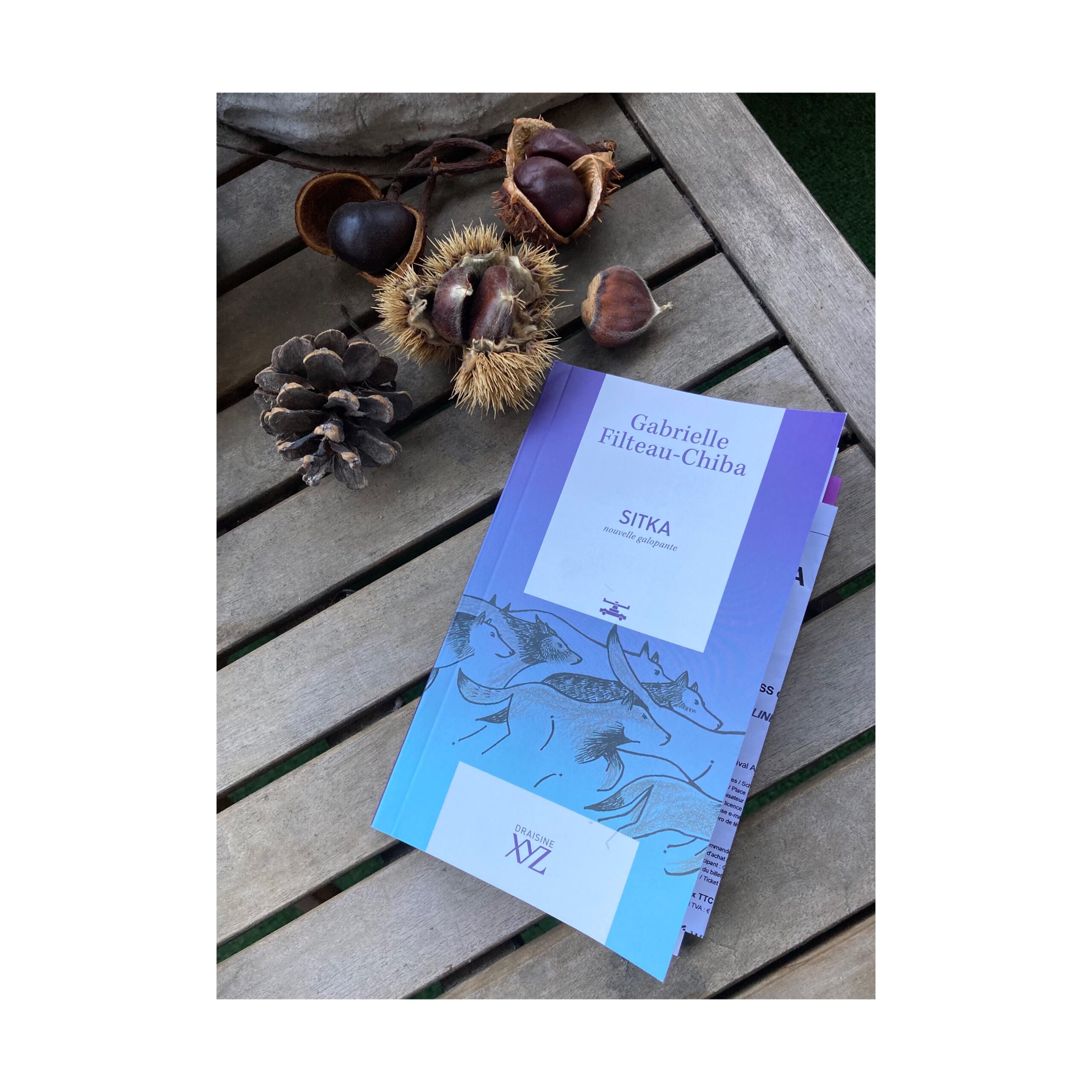 « Sitka » de Gabrielle Filteau-Chiba…