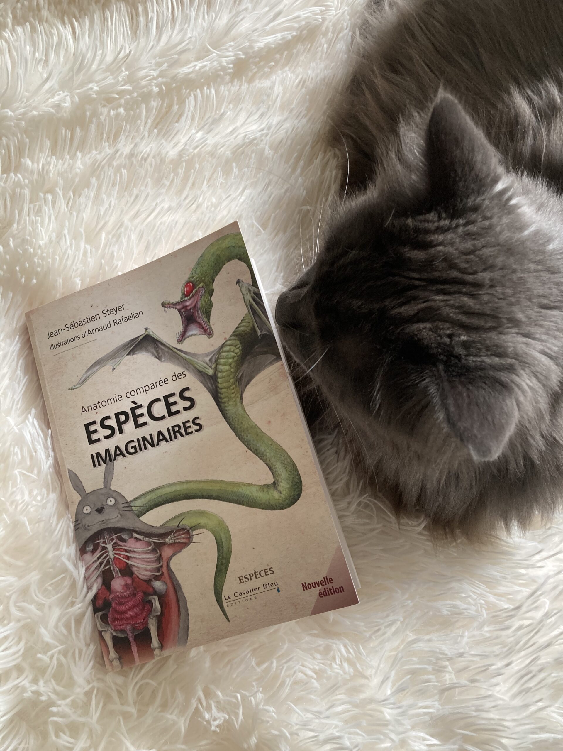 « Anatomie comparée des espèces imaginaires » de Jean-Sébastien Steyer…