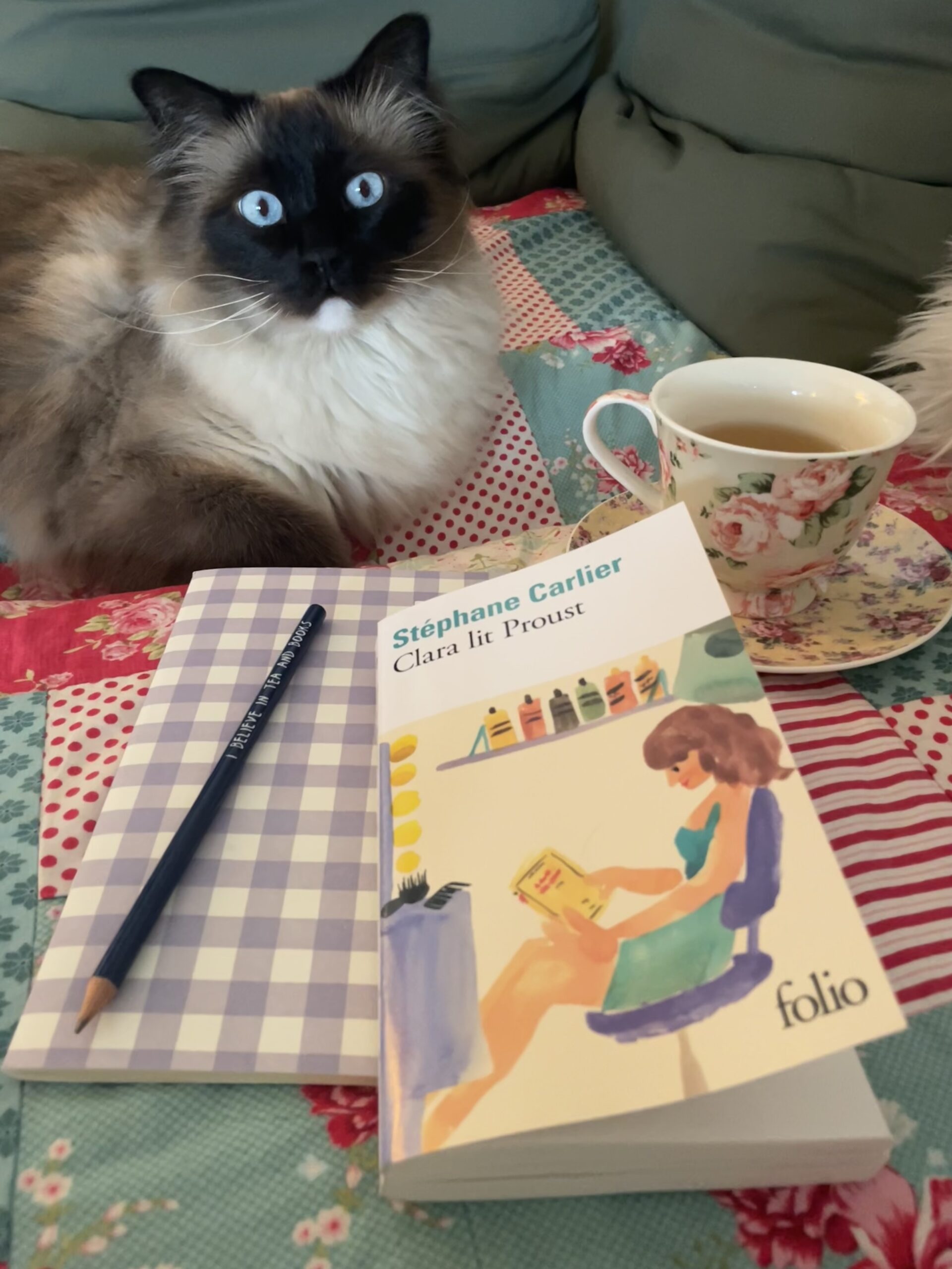 « Clara lit Proust » de Stéphane Carlier…