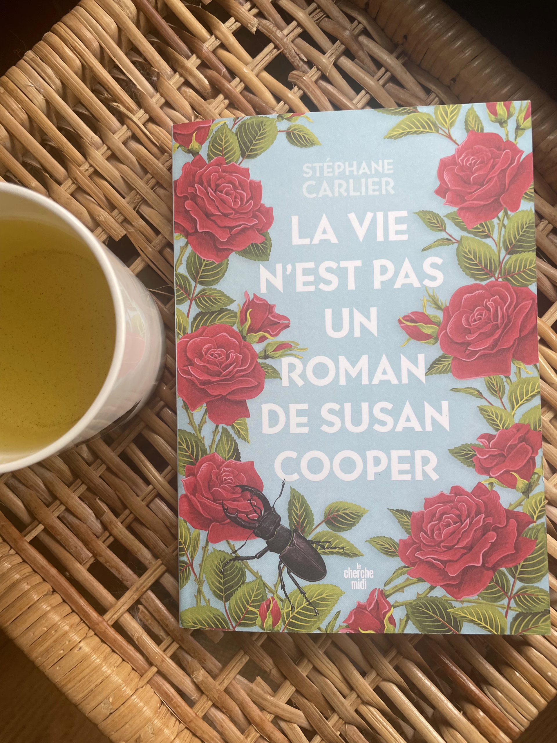 « La vie n’est pas un roman de Susan Cooper » de Stéphane Carlier…