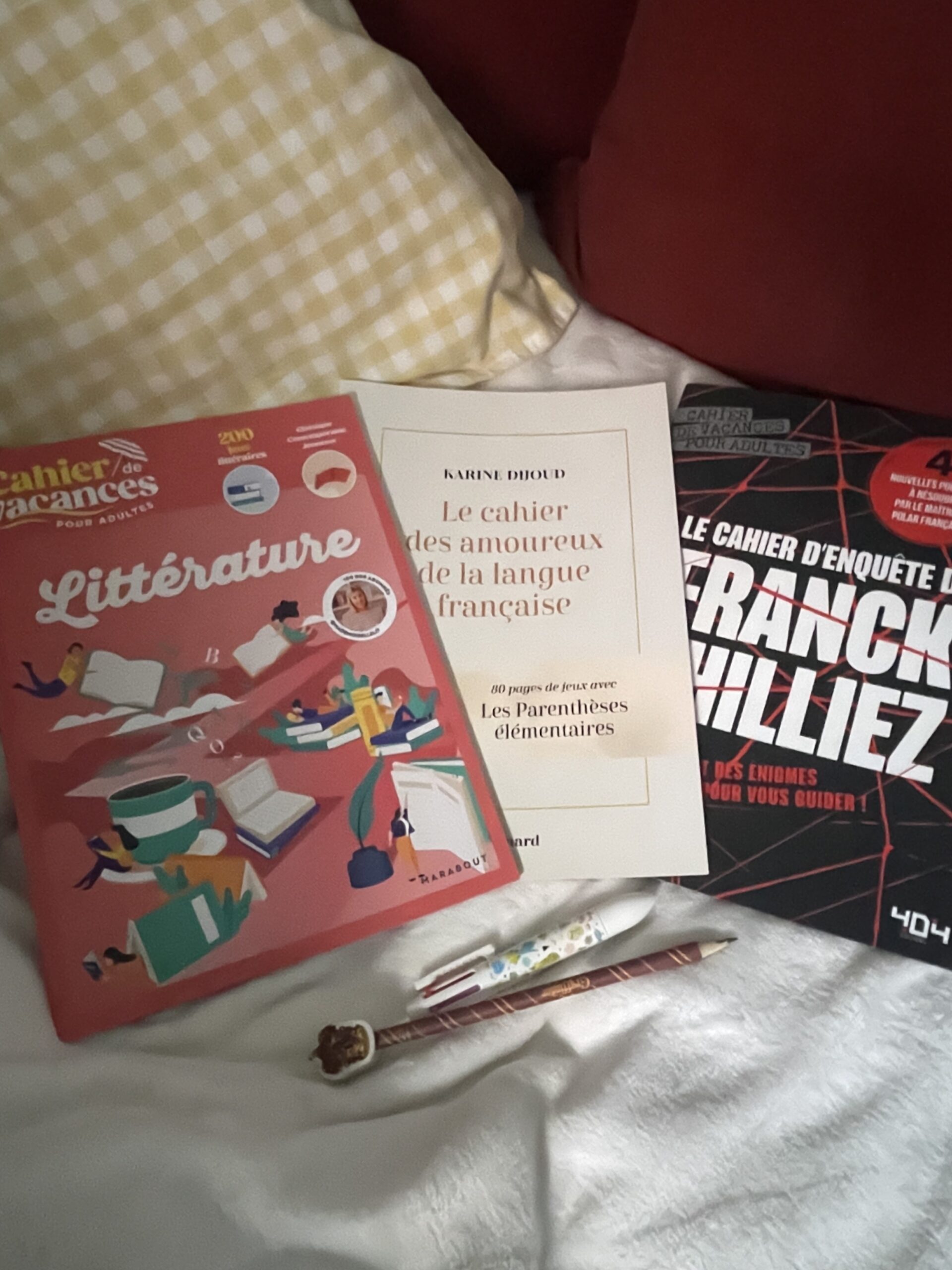 Les cahiers de vacances pour adultes…