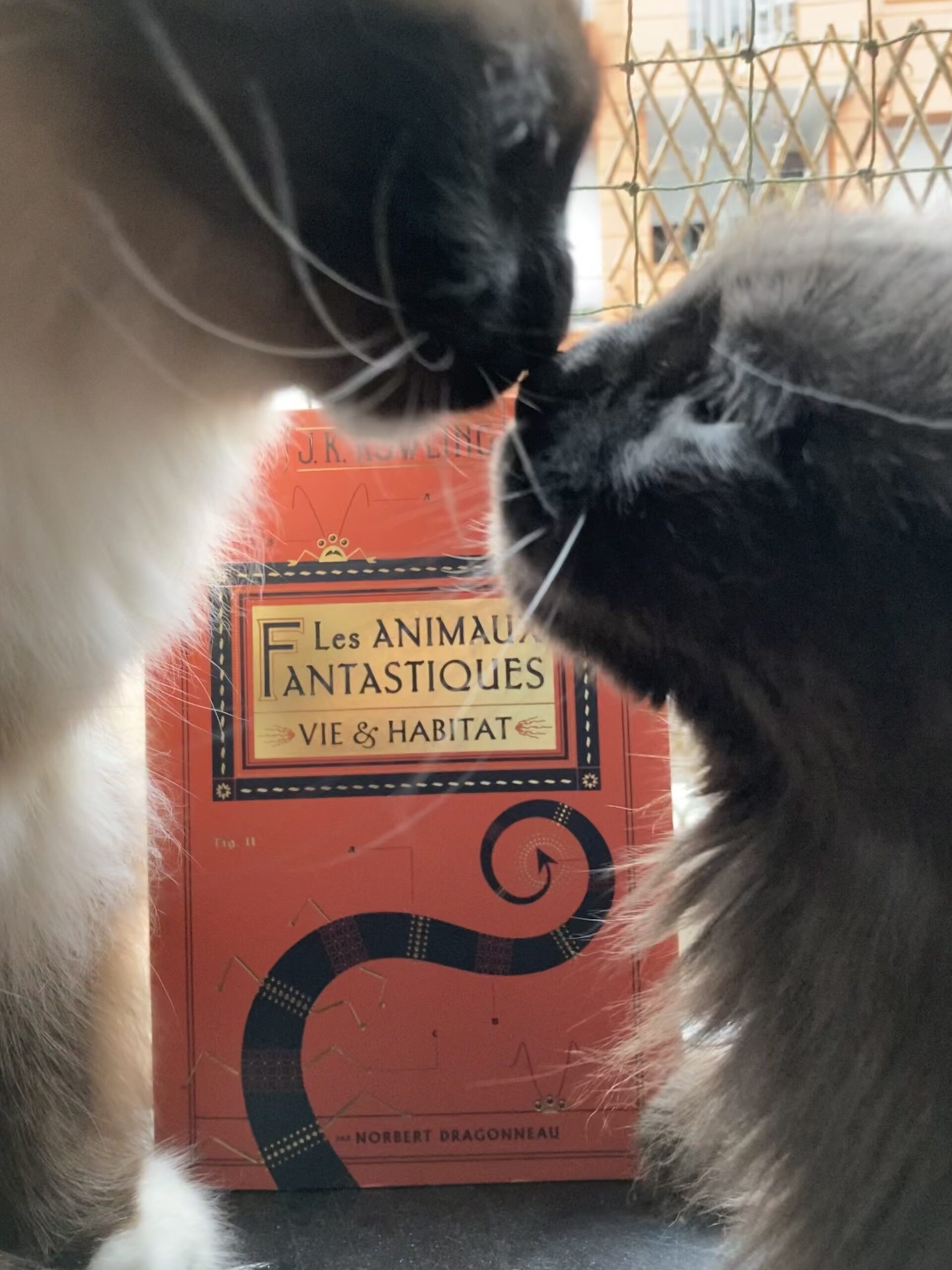 « Les animaux fantastiques : vie et habitat » de J.K. Rowling…