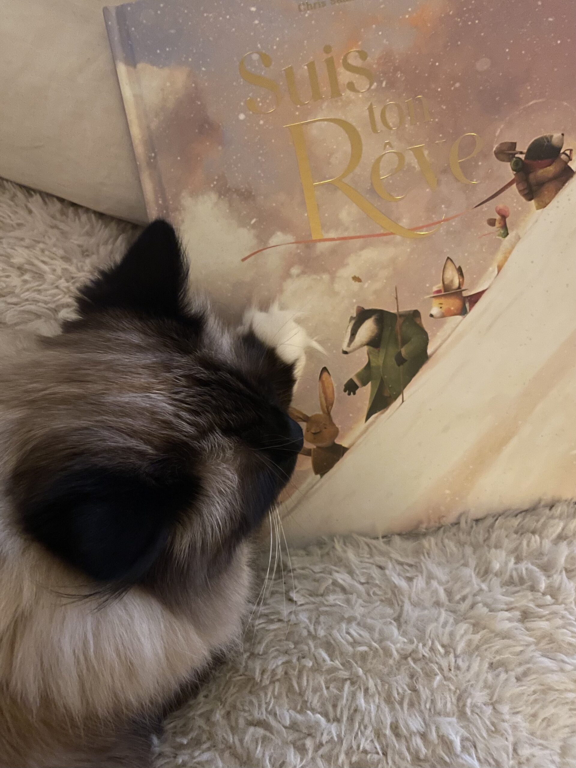 « Suis ton rêve » de Chris Saunders…