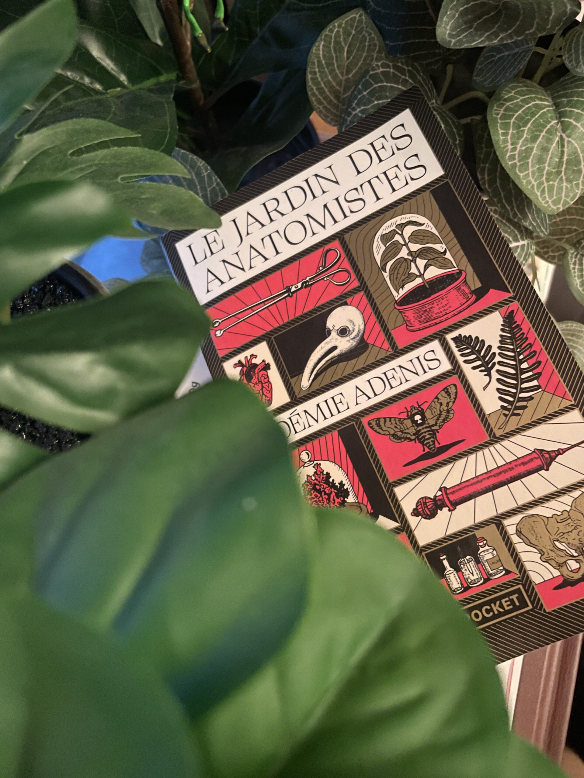 « Le jardin des anatomistes » de Noémie Adenis…